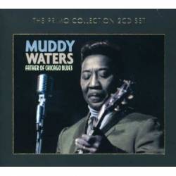 Muddy Waters : Father Of Chicago Blues